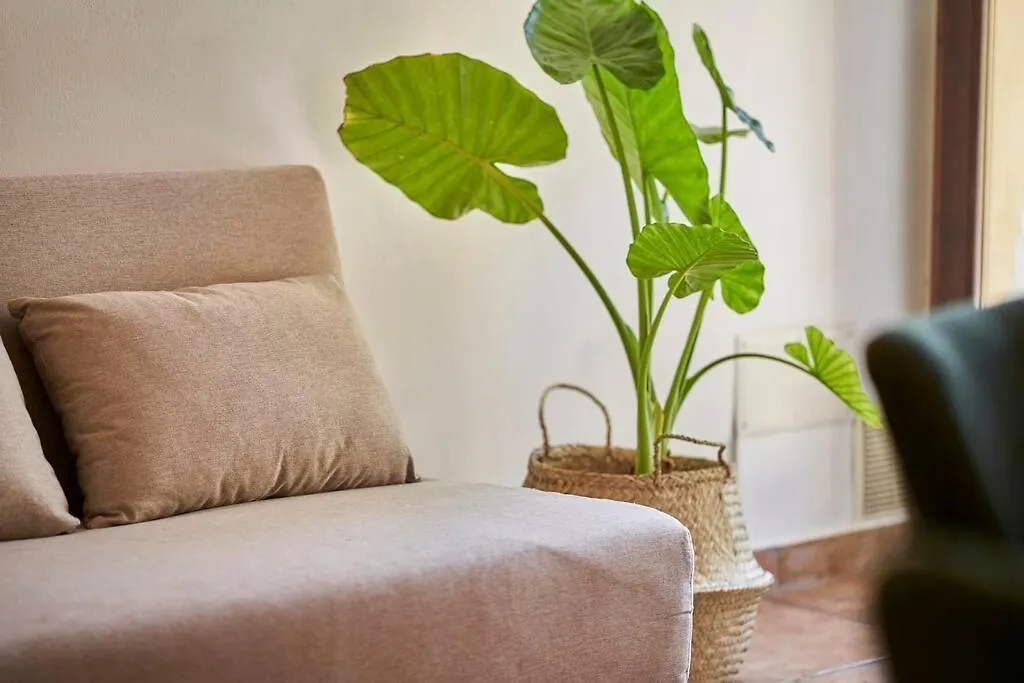 Apartment La Limonaia Country House Siena